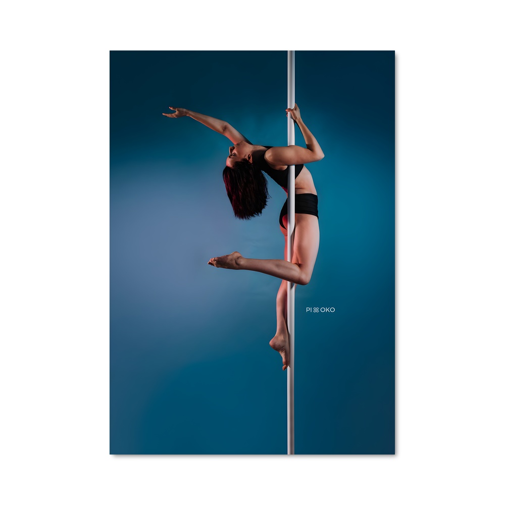 Poster Miss pole essor